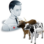 ��������� ������ �. �.