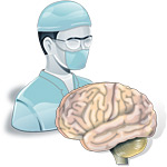 ����������� ������ �.