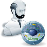 ������ ������ �. �.